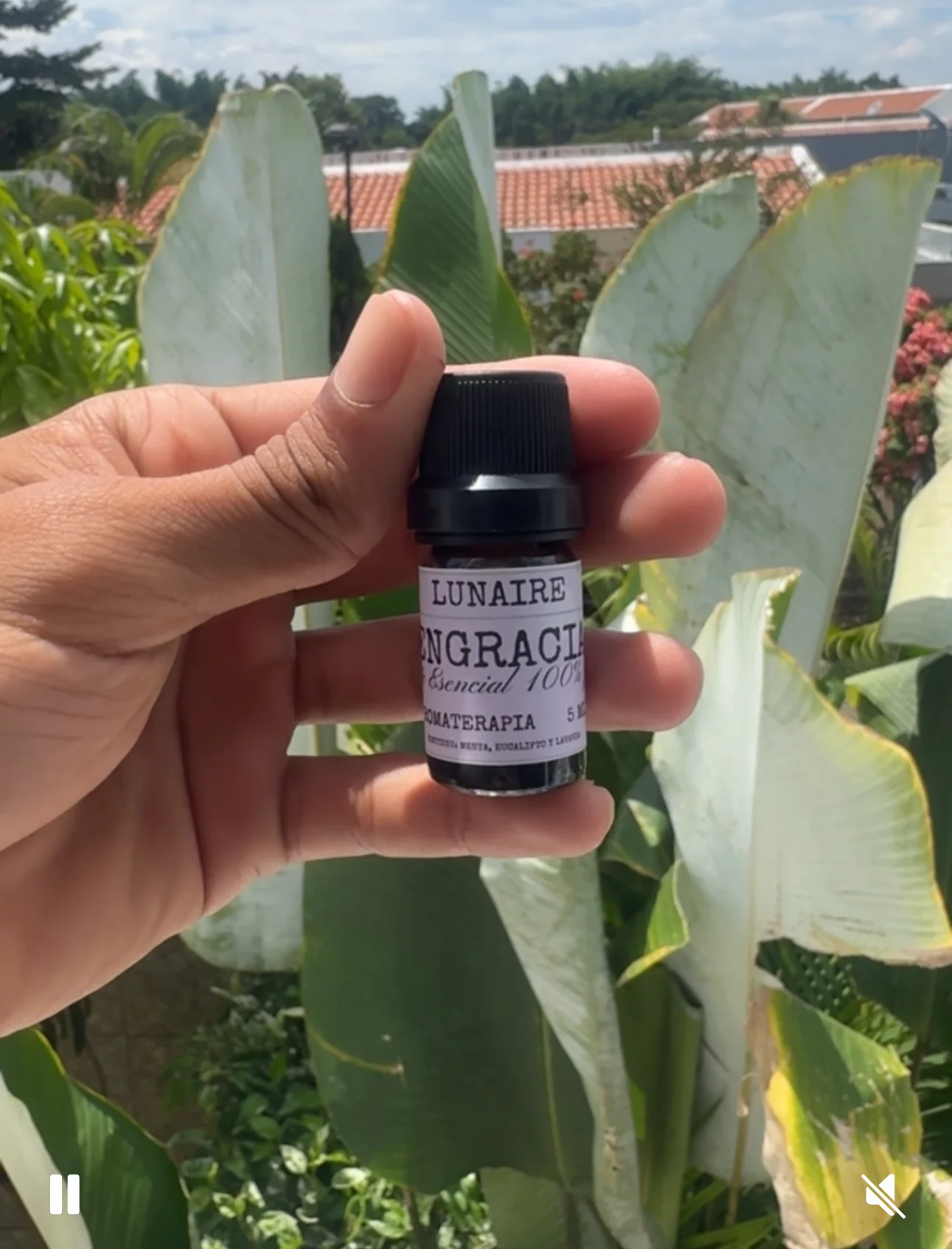 🌿 ENGRACIA – Óleo Esencial de Aromaterapia